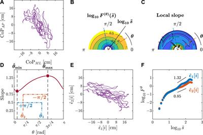 Postural control in gymnasts: anisotropic fractal scaling reveals proprioceptive reintegration in vestibular perturbation